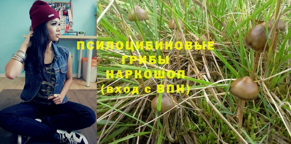 гашик Верхнеуральск